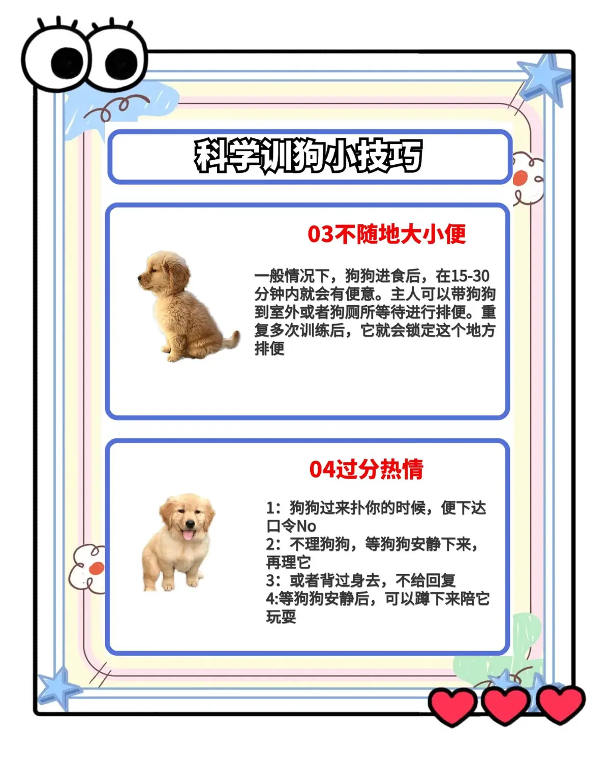 大学篮球犬的训练方法是什么